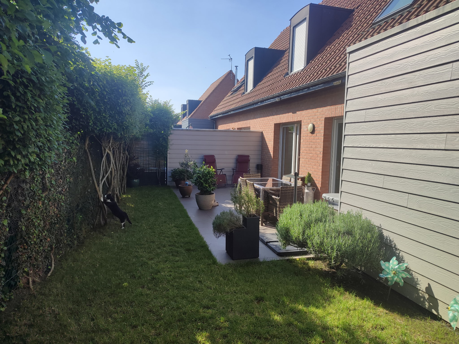 Image_1, Maison, Baisieux, ref :555