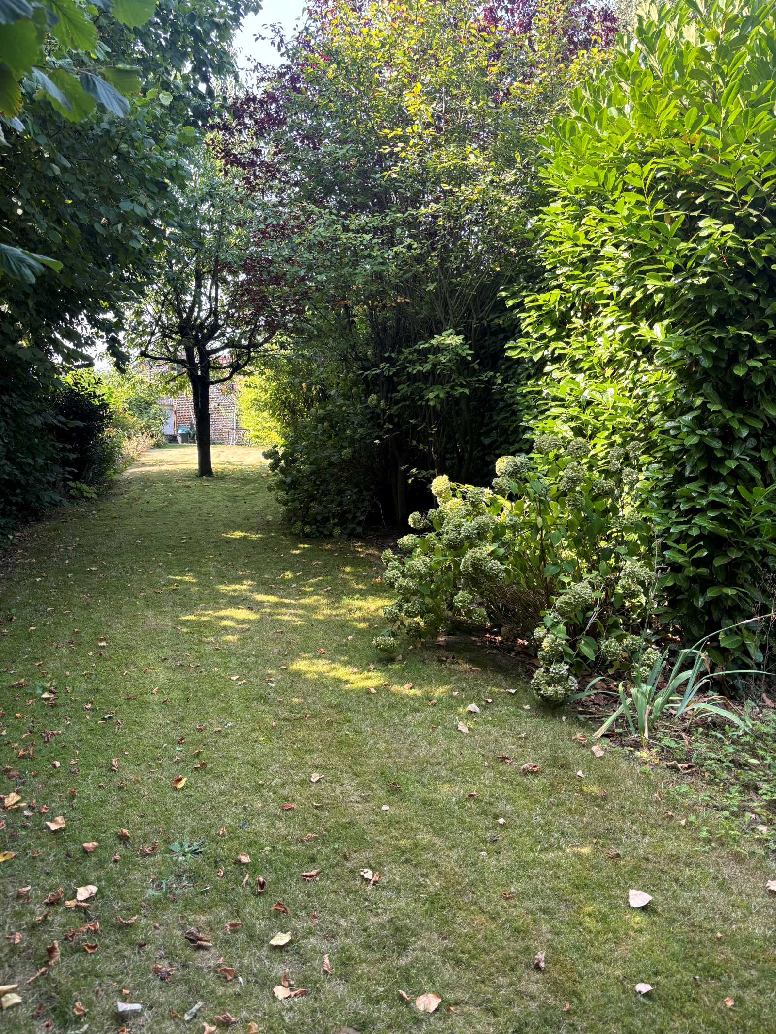 Image_11, Maison, Landas, ref :3003