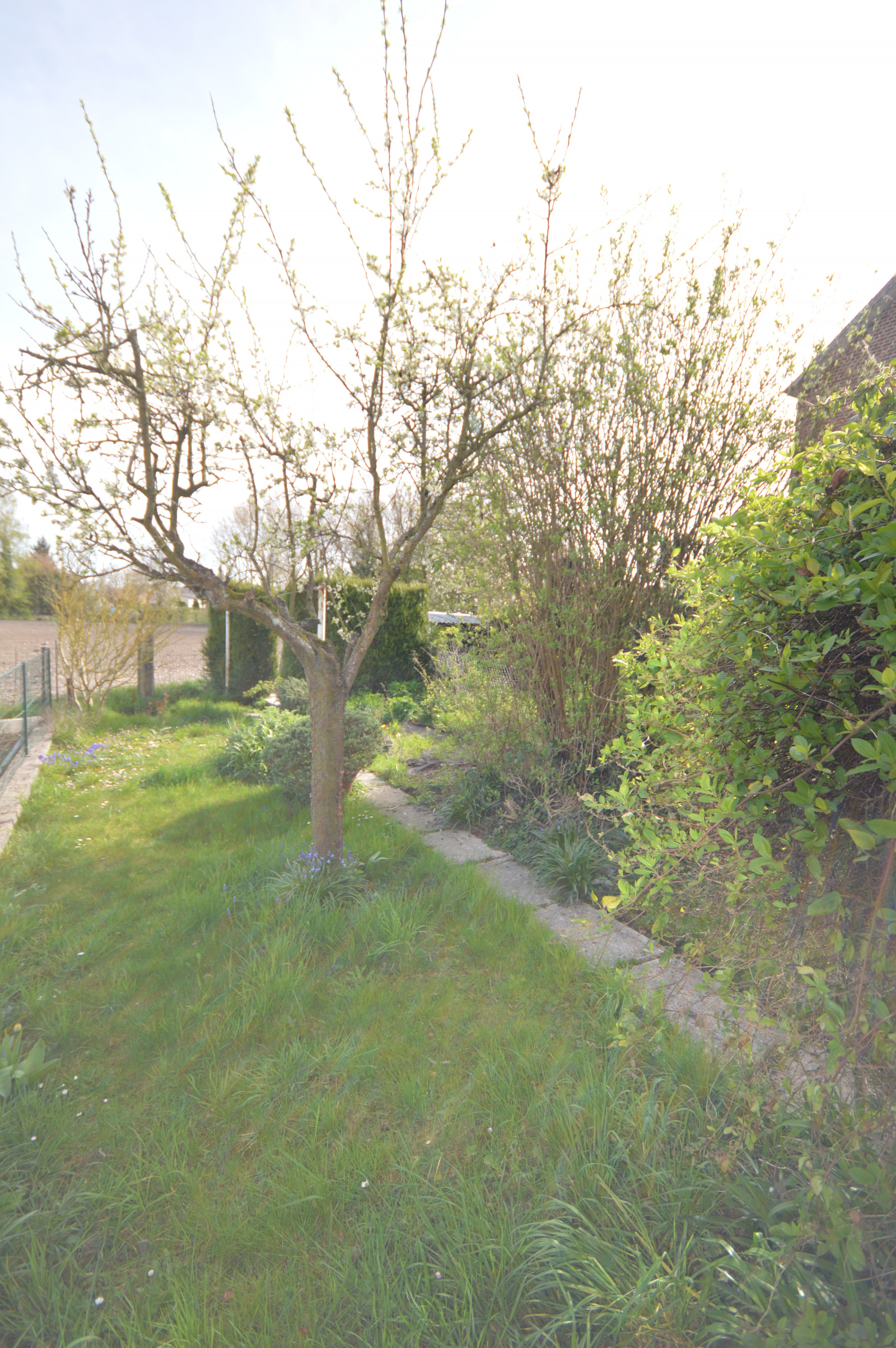 Image_5, Maison, Wallers, ref :0.6078