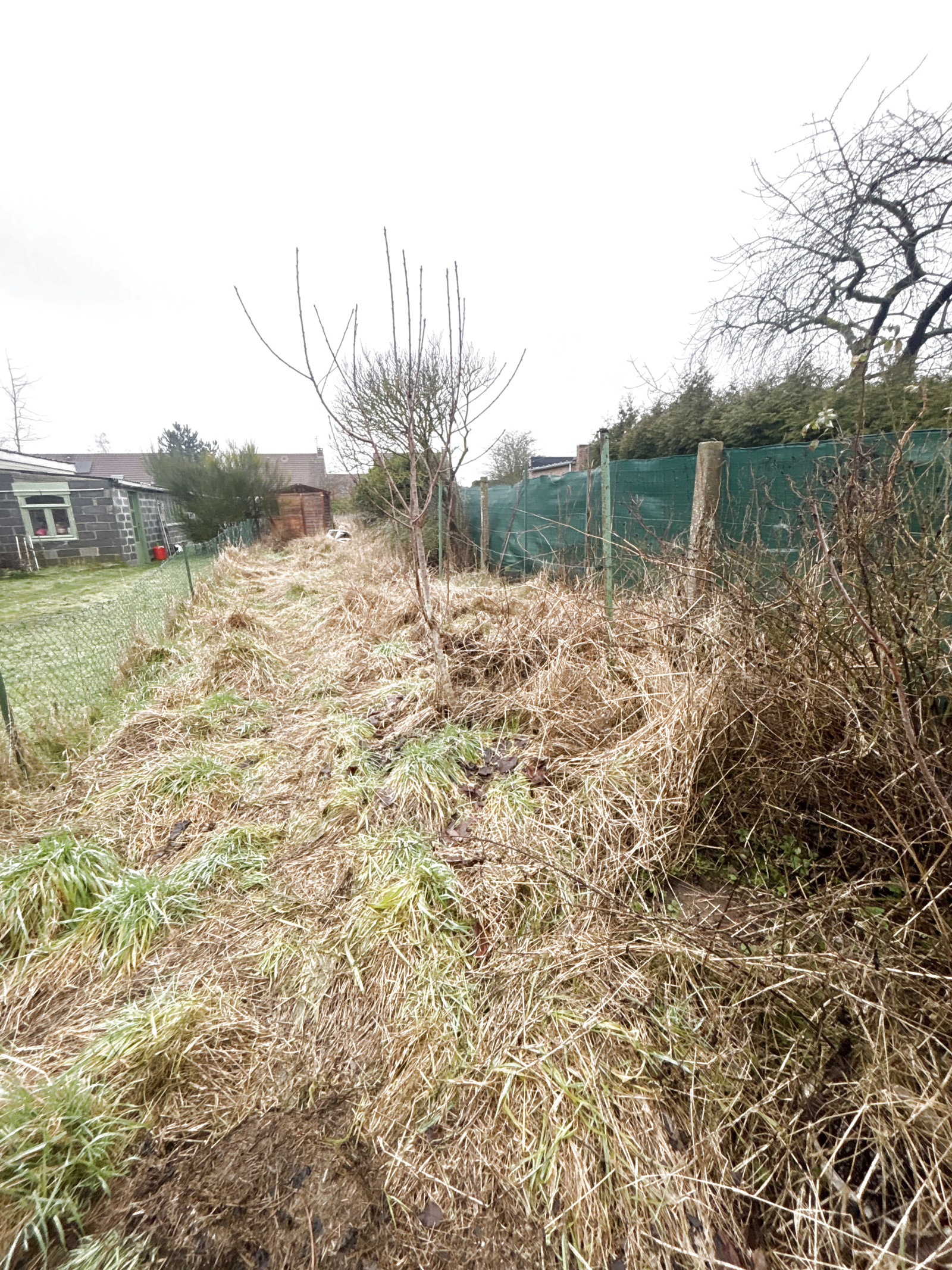 Image_7, Maison, Orchies, ref :3005