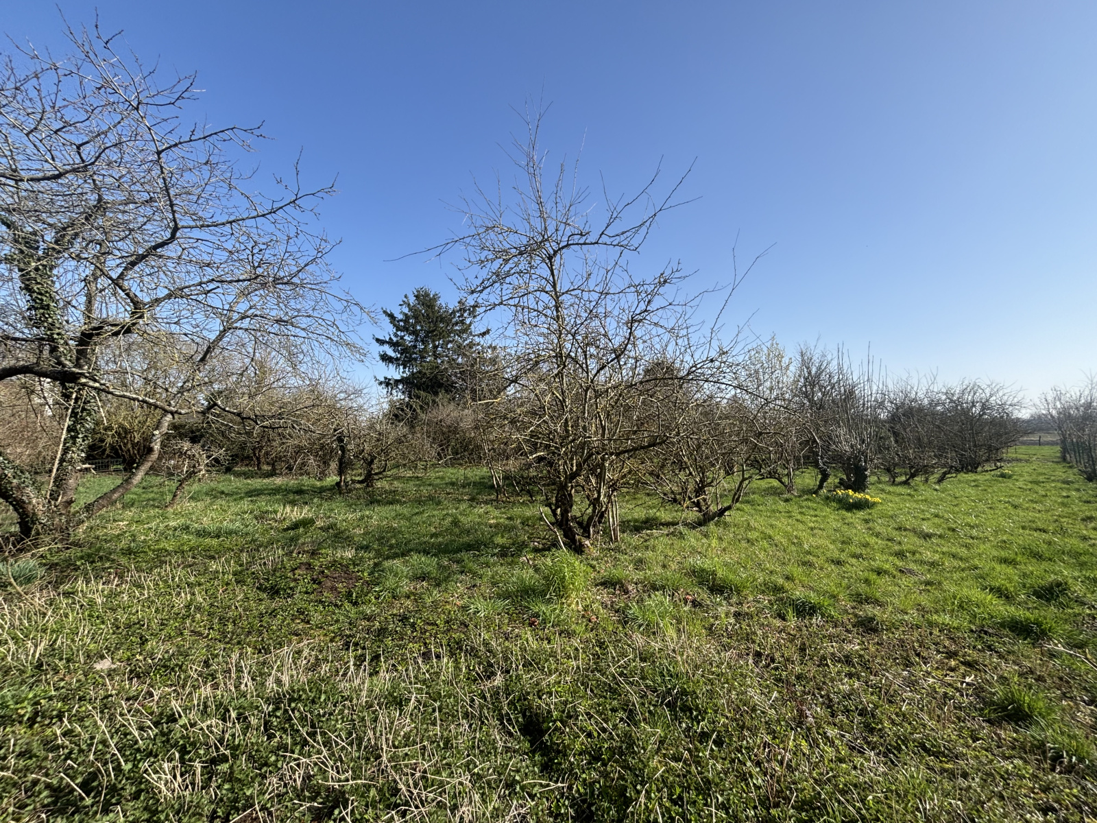 Image_10, Maison, Marchiennes, ref :3333